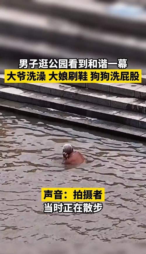 摸完狗后应洗屁股的合适时机与方法