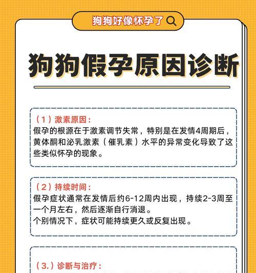 怀孕期间养狗的检查和注意事项（为了健康安全，孕妇养狗需做哪些检查？）