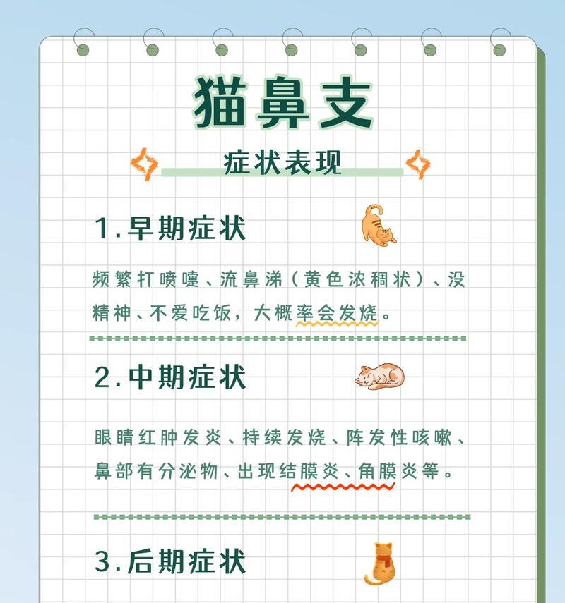 猫鼻支治愈所需时间及注意事项（了解猫鼻支康复时间和护理要点，助宠物早日康复）