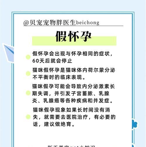 猫咪怀孕的表现及注意事项（了解猫咪怀孕的迹象和保健建议，为猫妈咪提供最好的关怀）