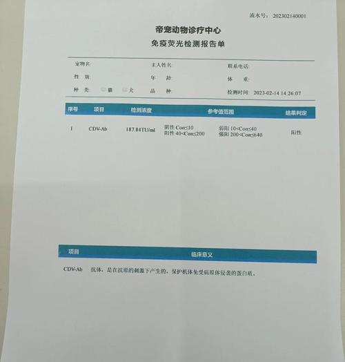 犬瘟康复时间及关键因素分析（揭秘犬瘟完全康复的时间及要点）
