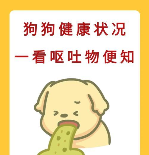 泰迪犬呕吐的原因及处理方法（了解泰迪犬呕吐的常见原因，学会正确处理）