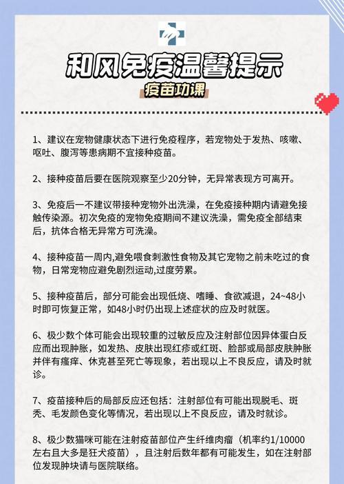 狗狗疫苗（掌握狗狗打完疫苗后的关键时刻和应对策略）
