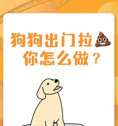 狗吃完纸后多久会拉屎？（纸张消化对狗的影响及拉屎时间的预估）