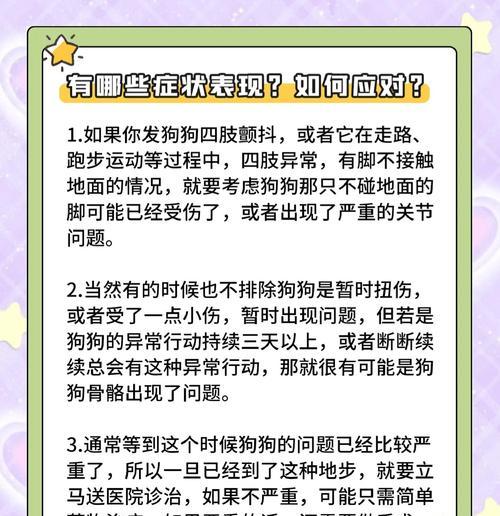 狗狗啃骨头的持久力到底有多强？（探秘狗狗啃骨头的时间记录和原因分析）