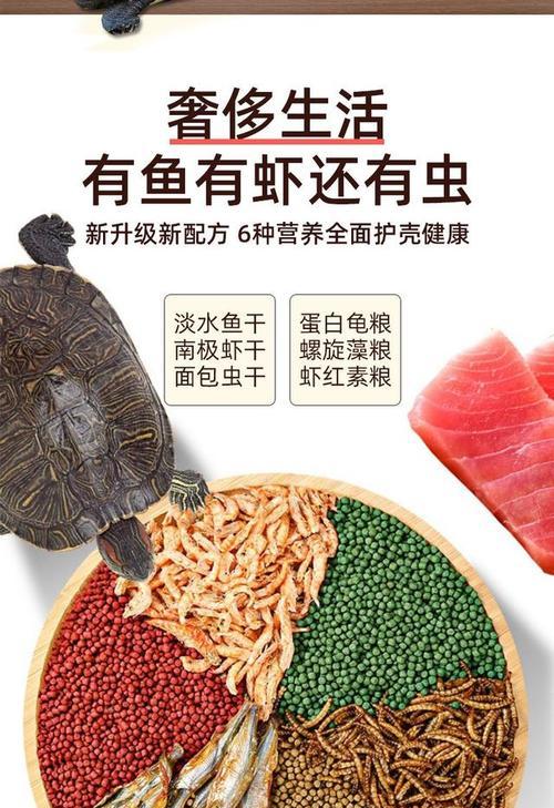 以巴西龟的饮食禁忌（了解巴西龟的禁食物以维护它们的健康）