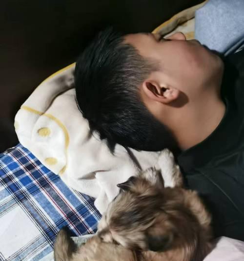夜晚狗狗的睡眠需求（探索狗狗夜间睡眠时长及影响因素）