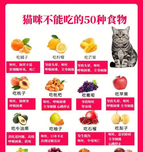 猫咪的最爱（揭秘猫咪们的味蕾王国，让你的毛孩开心又健康）