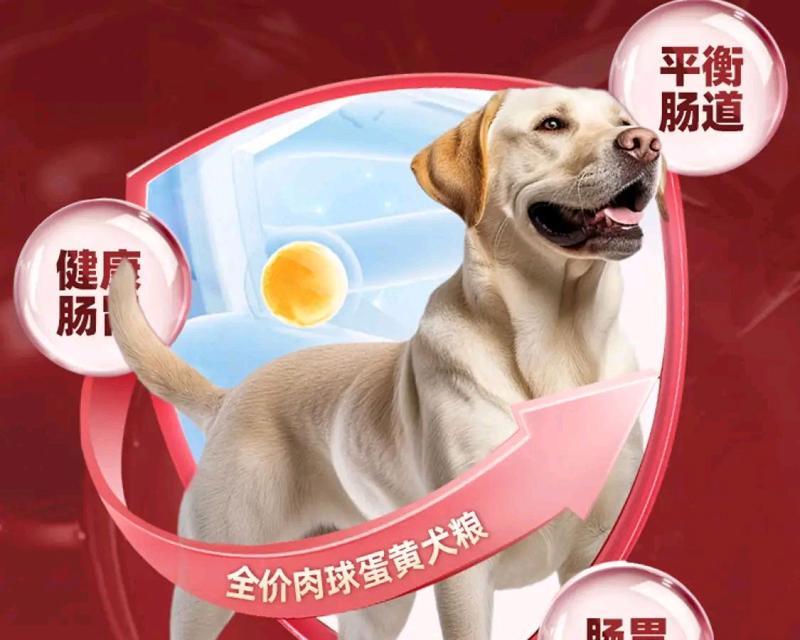 狗粮如何计算使用时间（以40斤狗粮喂养一只狗需要多久？）