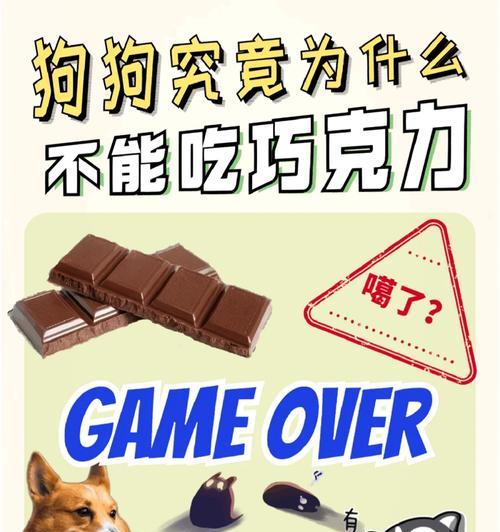 狗狗的饮食频率及饮食注意事项（探讨狗狗每日饮食次数，科学喂养宠物狗的重要性）