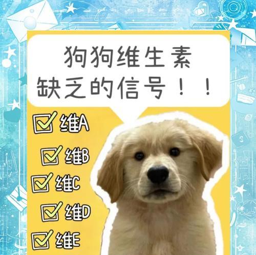 狗狗的维生素B族需求与摄取频率（探讨狗狗补充维生素B族的最佳频率与方法）