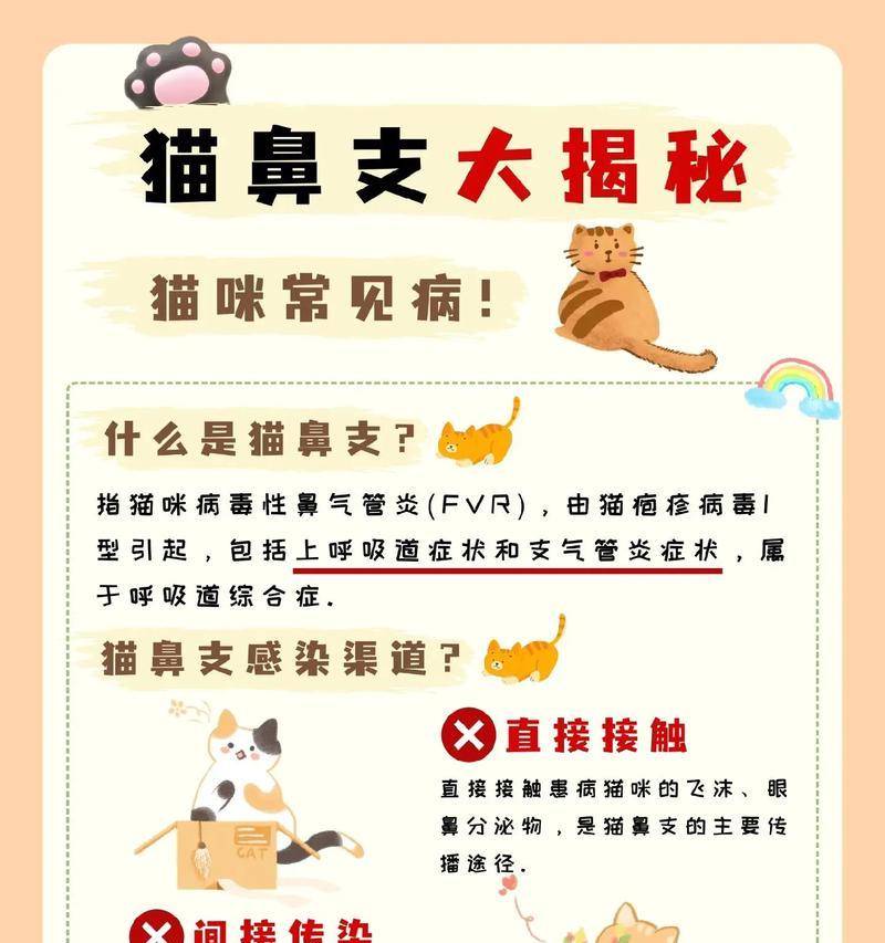 猫鼻支治疗需多久？（了解猫鼻支治疗的时间预期）