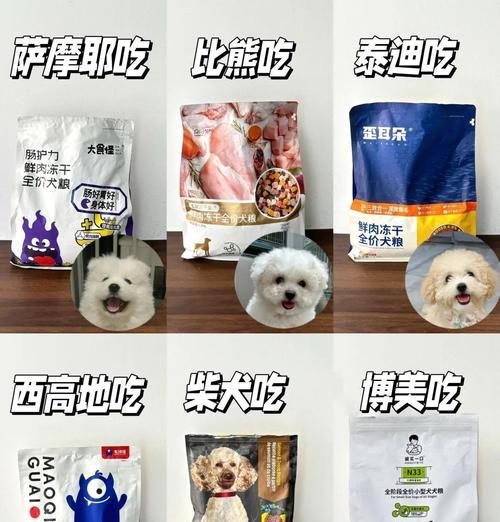 关于狗狗肠胃健康的饮食选择（探索最佳食物选择，保护狗狗的肠胃健康）