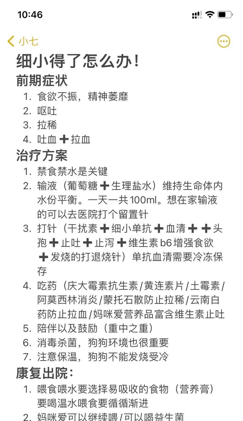 细小治疗时间探究（细小感染恢复所需时间与关键因素研究）