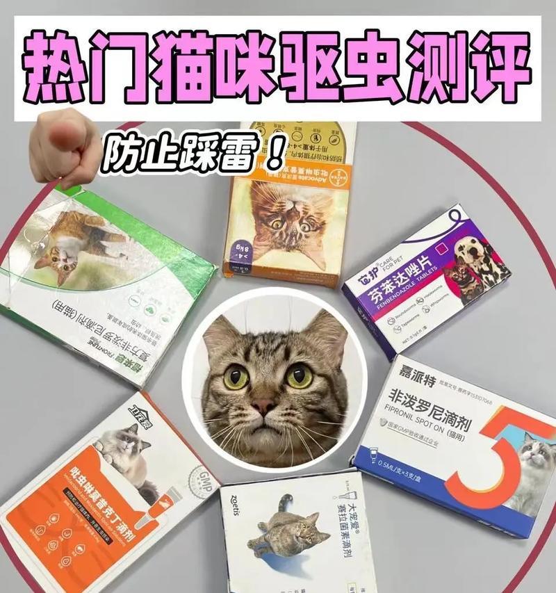 猫咪吃完驱虫药后多久会拉？（探索猫咪驱虫药效果及排便时间的关系）