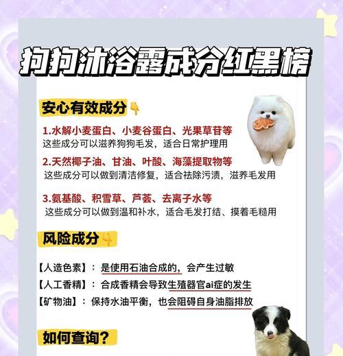 户外养狗多久洗一次澡？（了解你的狗狗的洗澡频率）