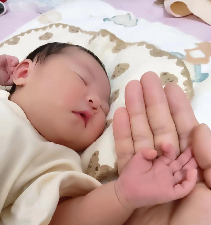 兔子分娩的时间是多久？（揭秘兔子分娩的奥秘与时间规律）