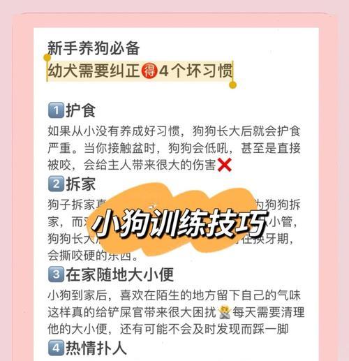 泰迪如何快速学会定点大小便？（掌握关键诀窍，让你的泰迪顺利成为“乖宝宝”）