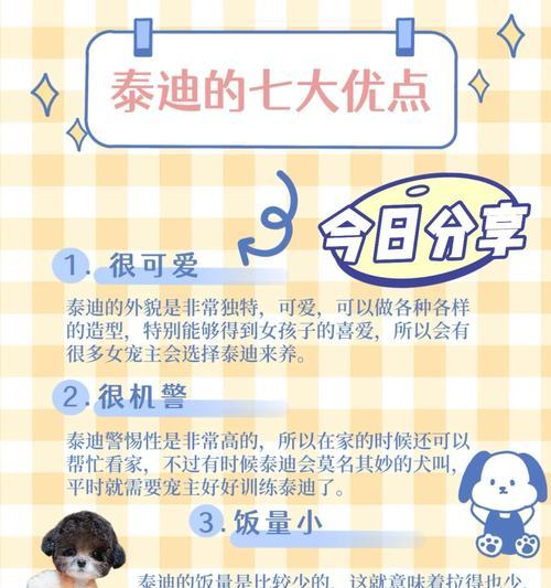 如何正确照顾泰迪犬的饮食（日常喂食指南、）