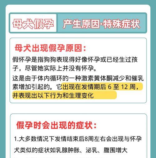 探讨狗假孕的发生和持续时间（揭开狗假孕的秘密，解答常见问题）