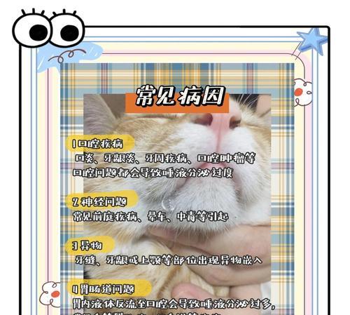 猫流口水的原因及治疗方法（探索猫流口水的根源和有效的治疗方法）