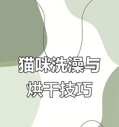 猫咪洗澡的最佳频率（关于猫咪洗澡的正确方式和时间间隔）