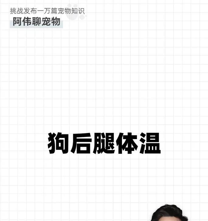 狗测体温的时间和方法（了解狗体温检测的重要性及正确操作步骤）