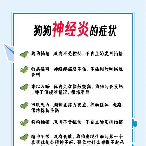 狗狗康复后的心理恢复时间及关键因素（探索狗狗在康复后恢复精神的时间和关键因素）
