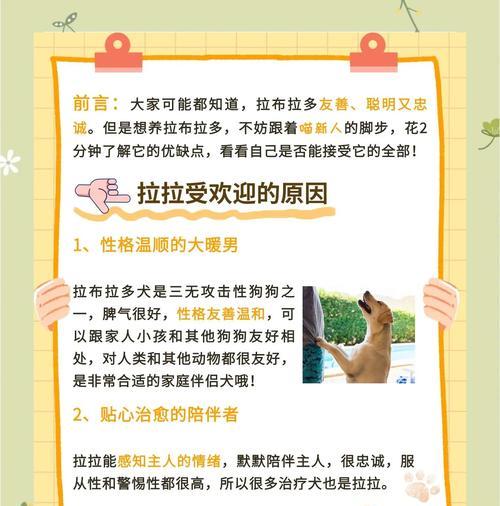 拉布拉多幼犬的养护指南（如何正确地照顾和护理你的拉布拉多幼犬）