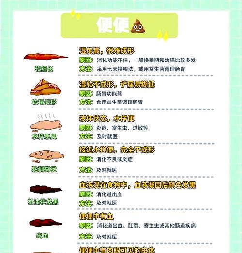 猫便秘常见病及解决方法（了解猫便秘的原因和预防措施，保持猫咪健康排便）