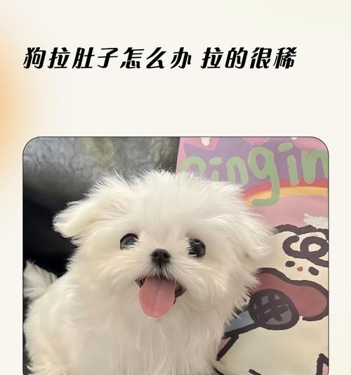 啃下骨头引发狗狗腹泻的原因分析（了解啃骨引发腹泻的关键因素）