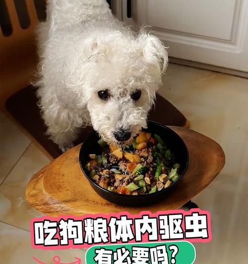 狗狗驱虫后的饮食规划（驱虫后多久能恢复正常饮食？）
