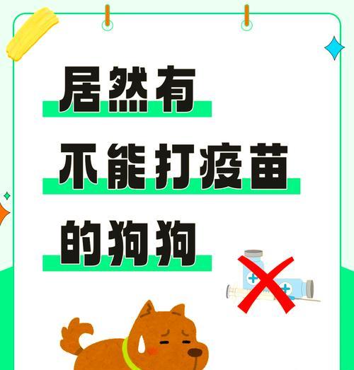 狗疫苗接种时间表及注意事项（从出生到成年，狗疫苗接种时机全解析）