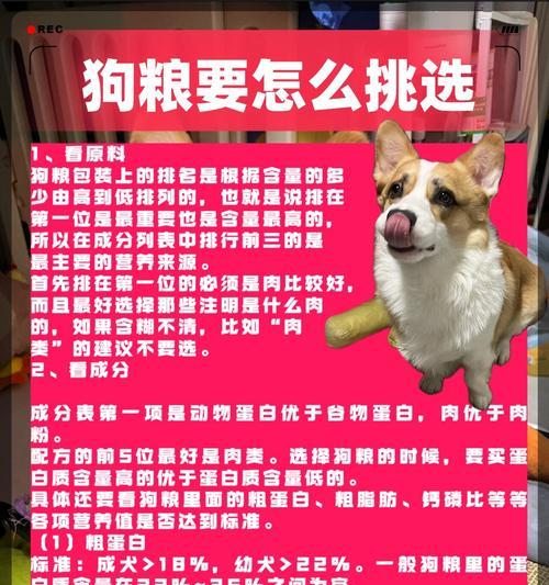 上海的狗粮品牌大揭秘（探索上海市场上狗粮品牌的特色和优势）