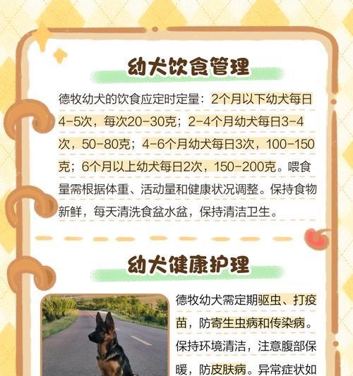 德牧月经持续时间的研究（探寻德牧月经周期及持续时间的关键因素）