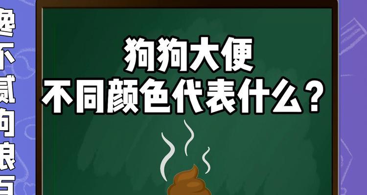 宠物粪便（了解宠物粪便中蕴含的健康信息及其处理方式）