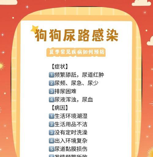 解决狗狗不爱喝水的问题，（教你如何让狗狗爱上喝水，）