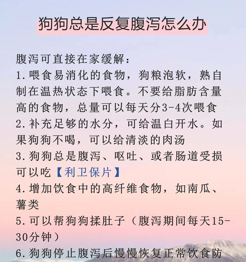 狗狗饭后消化时间揭秘（了解狗狗消化时间，关心它的健康）