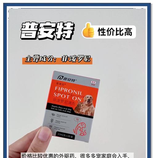 宠物猫的内驱周期及护理方法（了解猫咪内驱周期，保护它们的健康）