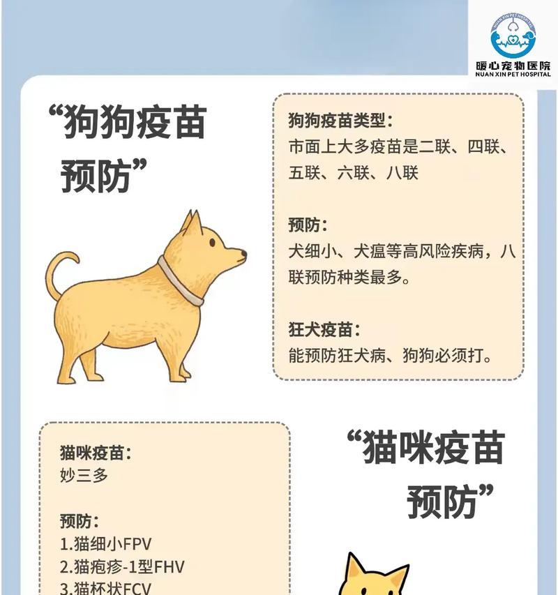 幼犬疫苗接种时间表与注意事项（保护幼犬健康，科学合理安排疫苗接种）
