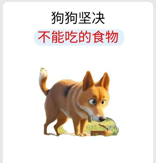 狗狗不进食怎么办？四大原因和解决办法（如何帮助你的爱犬恢复食欲，让它健康成长）