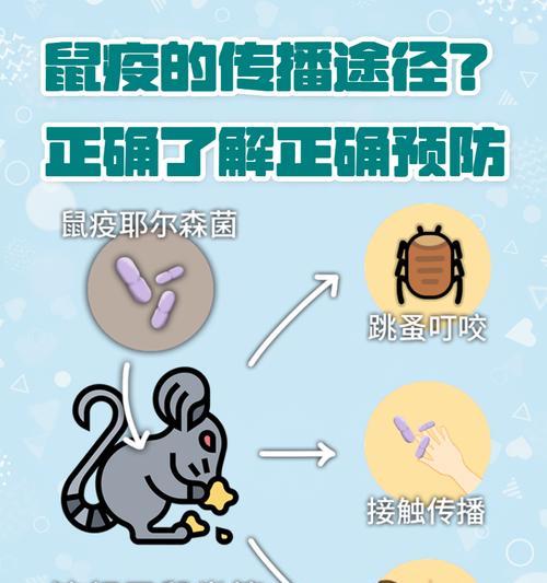 动物传染病（探索不同动物传染病的传播途径和预防方法）