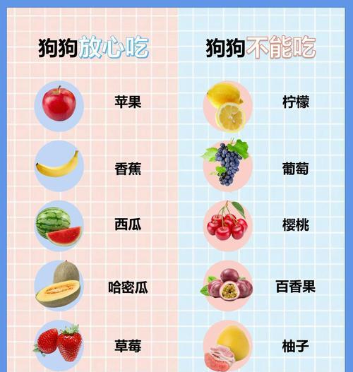 小狗的饮食禁忌（小狗的饮食安全知识大揭秘）