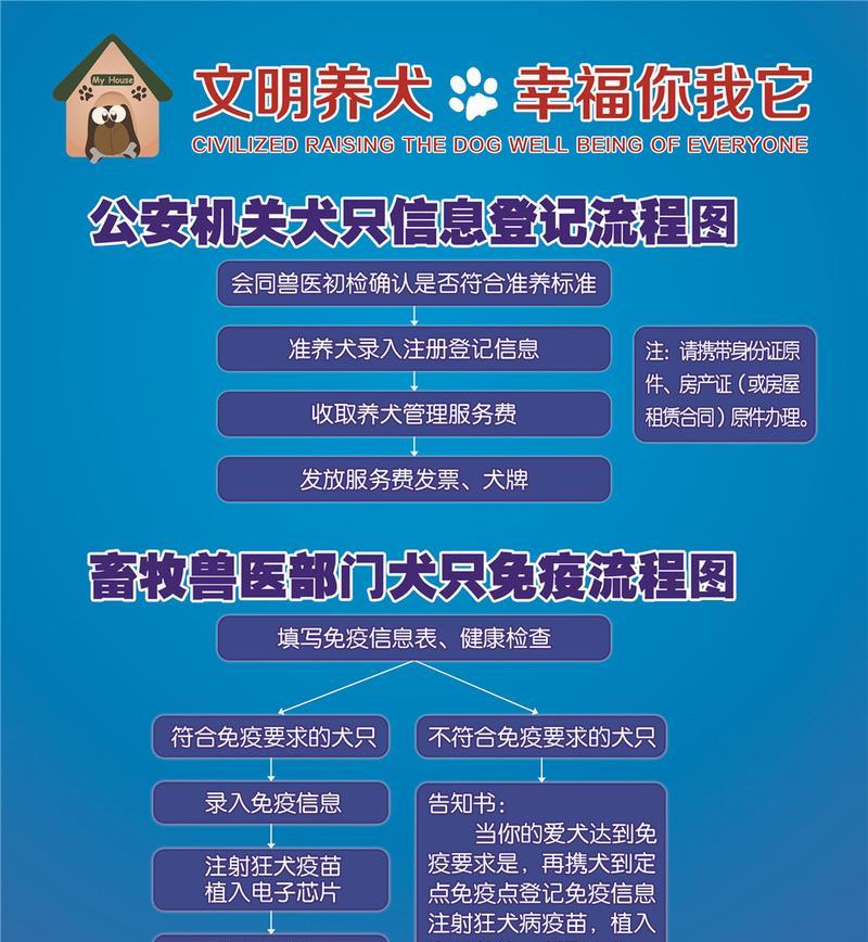 上海养狗指南（了解养狗手续，给你的宠物提供合法保障）