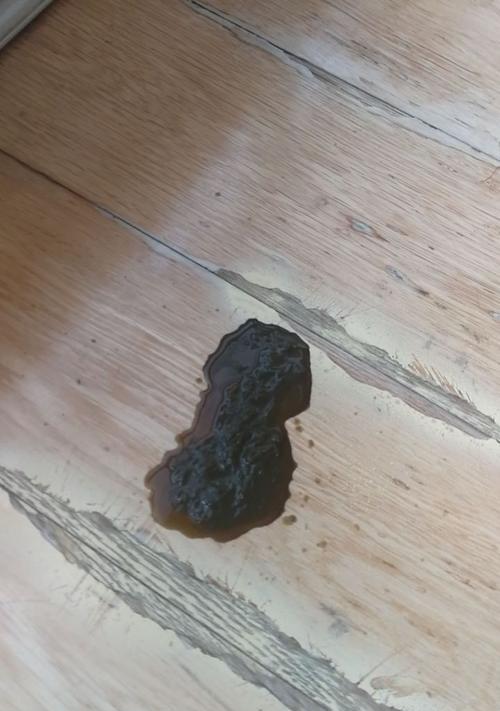 狗狗细小后遗症详解（了解细小后遗症，保护宠物健康）