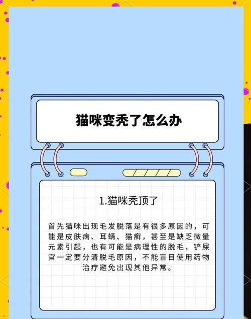 如何减少猫咪掉毛？（两种方法帮助你解决猫咪掉毛问题）
