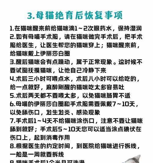 母猫生完什么时候可以进行驱虫？（探究母猫产后驱虫的最佳时间）