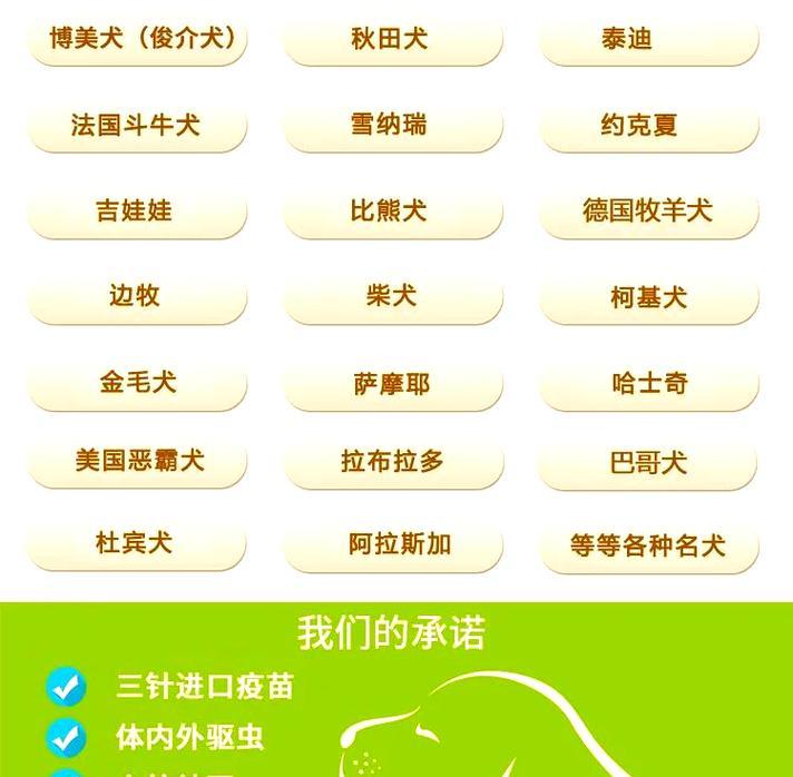 博美俊介犬的价格高不高？（血统纯正是影响价格的关键）