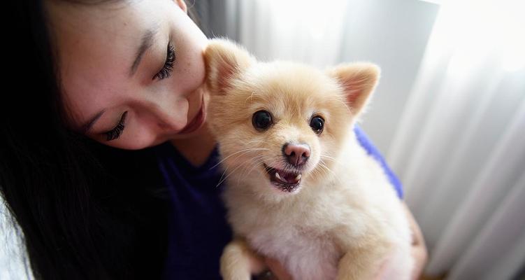 狗狗怀孕的社会特征及合理饮食安排（探寻狗狗怀孕期间的行为变化和饮食需求，为母犬健康繁育助力）