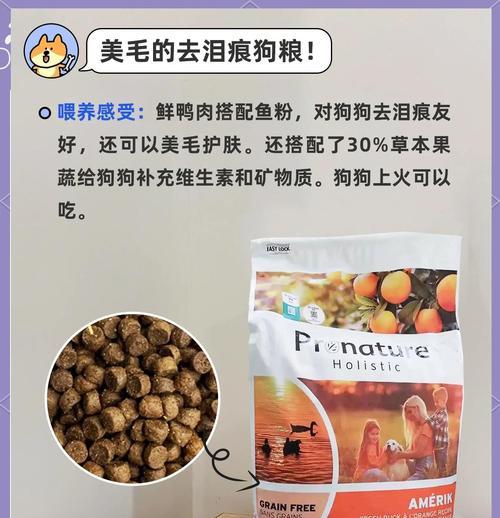 一袋20斤狗粮博美可以吃多久？（计算博美狗狗食量的关键要素是什么？）